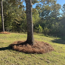 Pine-Straw-Installation-Oxford-MS 13